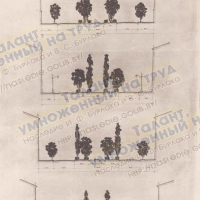 Улицы